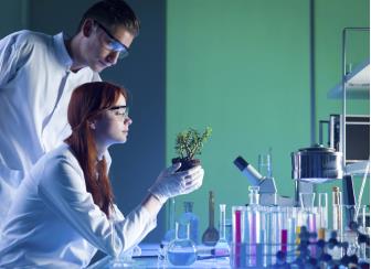 Best Paying Jobs in Agricultural Chemicals